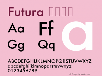 Futura 中等斜体 6.2d1e1图片样张