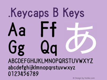 .Keycaps B Keys 10.0d12e1图片样张