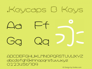 .Keycaps B Keys 10.0d12e1图片样张