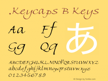 .Keycaps B Keys 10.0d12e1图片样张