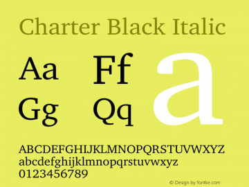 Charter Black Italic 10.01e1图片样张