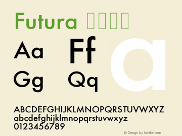 Futura 中等斜体 10.0d3e2图片样张