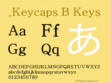 .Keycaps B Keys Version 1.00 October 18, 2015, initial release图片样张