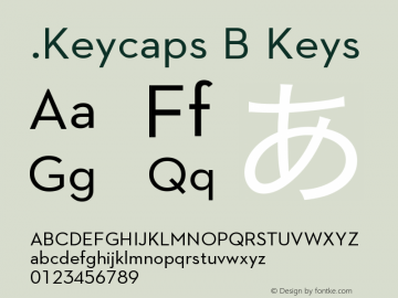 .Keycaps B Keys Version 1.00 October 19, 2015, initial release图片样张