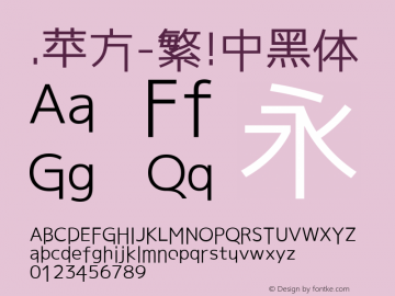 .苹方-繁 中黑体 11.0d11 Font Sample