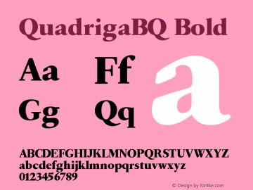QuadrigaBQ Bold Version 001.001图片样张