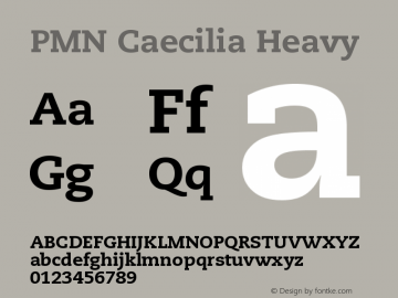 PMN Caecilia Heavy Version 001.000图片样张