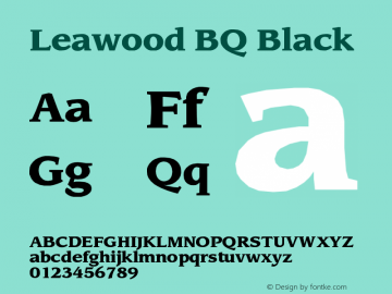 Leawood BQ Black Version 001.000图片样张