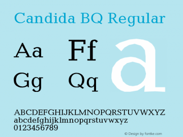 Candida BQ Regular Version 001.000图片样张