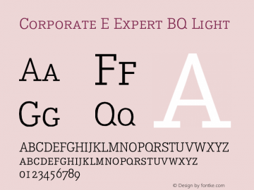 Corporate E Expert BQ Light Version 001.000图片样张