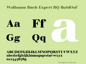 Walbaum Buch Expert BQ BoldOsF Version 001.000图片样张