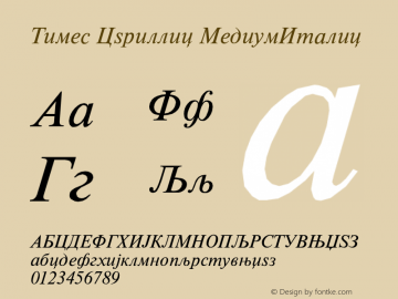 Times Cyrillic MediumItalic Version 001.000图片样张