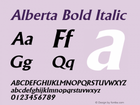 Alberta Bold Italic The WSI-Fonts Professional Collection图片样张