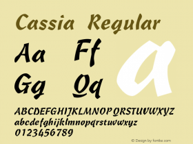 Cassia Regular Publisher's Paradise -- Media Graphics International Inc. Font Sample