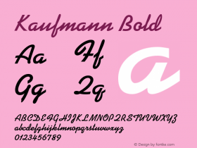 Kaufmann Bold Version 003.001图片样张