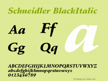 Schneidler BlackItalic Version 003.001 Font Sample