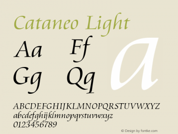 Cataneo Light Version 003.001图片样张