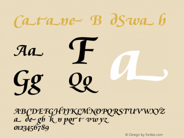 Cataneo BoldSwash Version 003.001 Font Sample