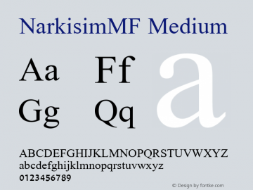 NarkisimMF Medium 1.0 Thu Oct 31 07:17:12 1996图片样张