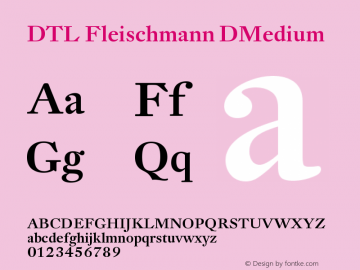 DTL Fleischmann DMedium Version 001.000图片样张