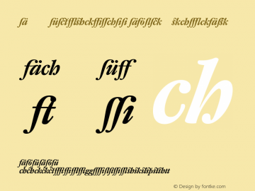 DTL Fleischmann DBoldItalicAlt Version 001.000 Font Sample