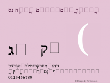 SN Hebrew Multimode Regular 001.000图片样张