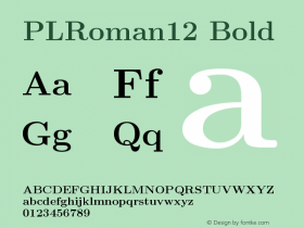 PLRoman12 Bold Version 1.11图片样张