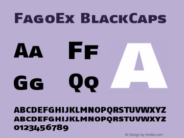 FagoEx BlackCaps Version 001.000图片样张