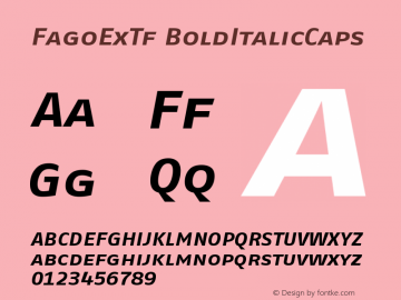 FagoExTf BoldItalicCaps Version 001.000图片样张