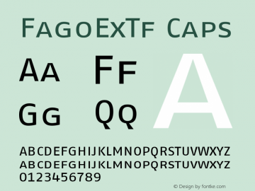 FagoExTf Caps Version 001.000图片样张