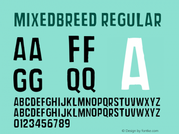 MixedBreed Regular Version 001.000 Font Sample