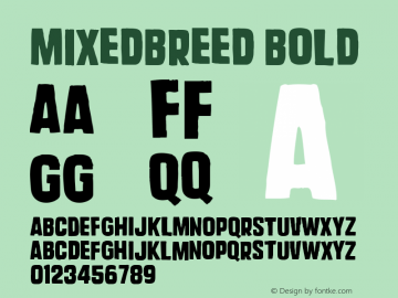 MixedBreed Bold Version 001.000 Font Sample