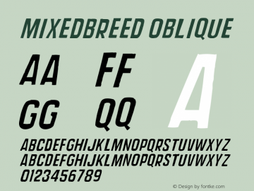 MixedBreed Oblique Version 001.000 Font Sample