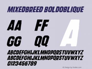 MixedBreed BoldOblique Version 001.000 Font Sample