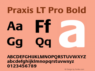 Praxis LT Pro Bold Version 1.000;PS 001.000;hotconv 1.0.38 Font Sample