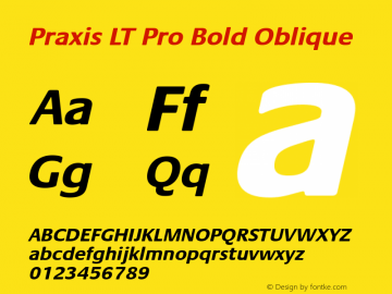 Praxis LT Pro Bold Oblique Version 1.000;PS 001.000;hotconv 1.0.38 Font Sample