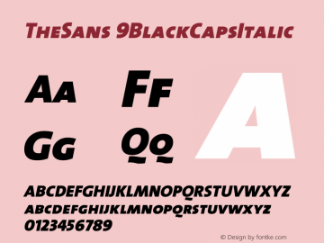 TheSans 9BlackCapsItalic Version 1.0 Font Sample