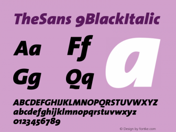 TheSans 9BlackItalic Version 1.0 Font Sample