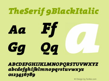 TheSerif 9BlackItalic Version 1.0 Font Sample