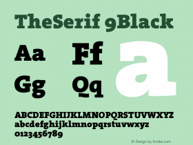 TheSerif 9Black Version 1.0 Font Sample