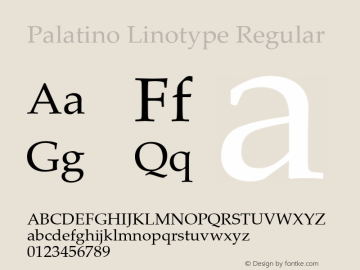 Palatino Linotype Regular Version 5.02 Font Sample