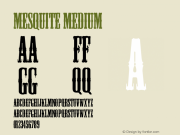 Mesquite Medium Version 001.002图片样张