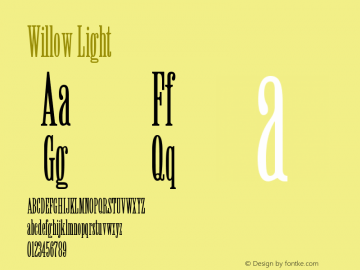 Willow Light Version 001.001 Font Sample