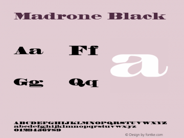 Madrone Black Version 001.001图片样张