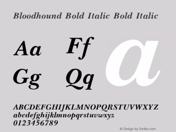 Bloodhound Bold Italic Bold Italic Unknown Font Sample