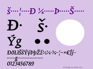 FedraSerifA NormalItalicExpert Version 001.000图片样张