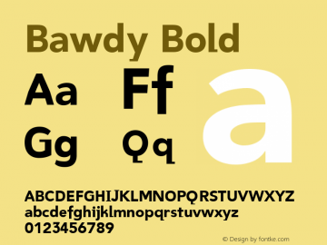 Bawdy Bold 001.000 Font Sample