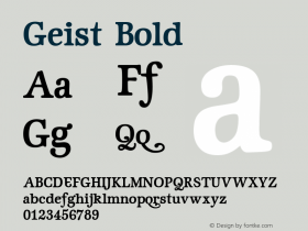 Geist Bold 001.000 Font Sample