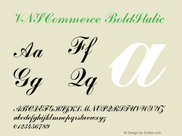 VNICommerce BoldItalic Version 001.000 Font Sample