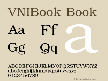 VNIBook Book Version 001.000图片样张